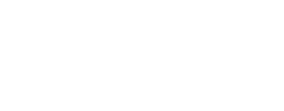 Brisk ID