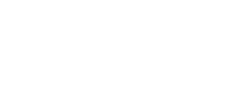 Brisk ID Logo